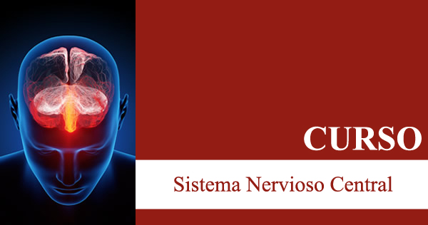 Sistema Nervioso Central